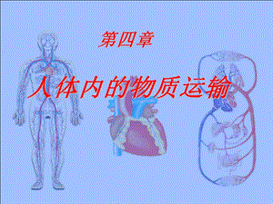 《人體內(nèi)物質(zhì)的運(yùn)輸》復(fù)習(xí)課件(1.2).ppt