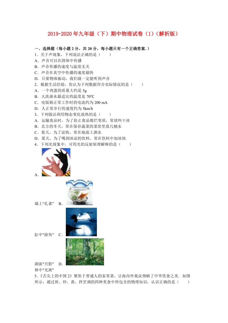 2019-2020年九年级（下）期中物理试卷（1）（解析版）.doc_第1页