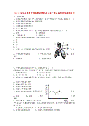 2019-2020年中考生物總復(fù)習(xí)第四單元第三章人體的呼吸典題精煉.doc