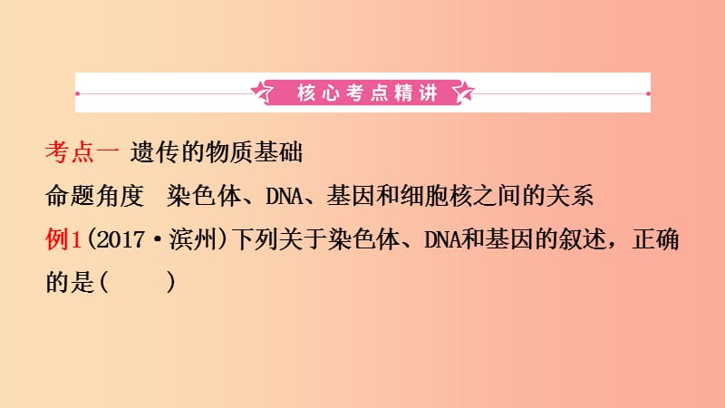 山东省2019年中考生物总复习 第四单元 物种的延续 第四章 生物的遗传和变异课件.ppt_第2页