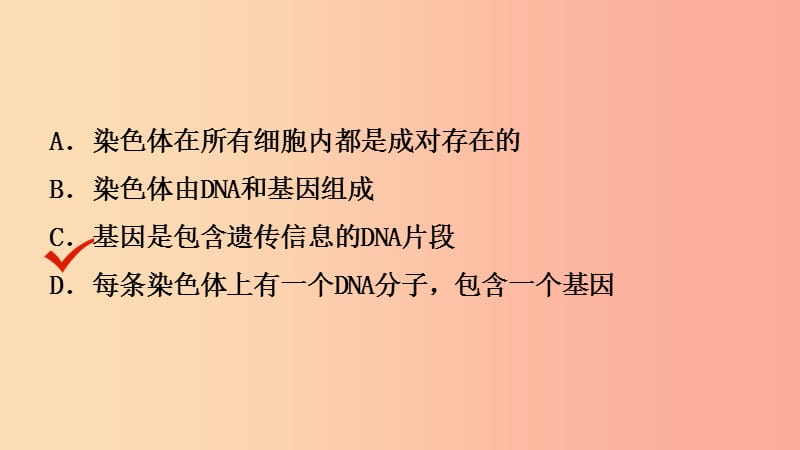 山东省2019年中考生物总复习 第四单元 物种的延续 第四章 生物的遗传和变异课件.ppt_第3页