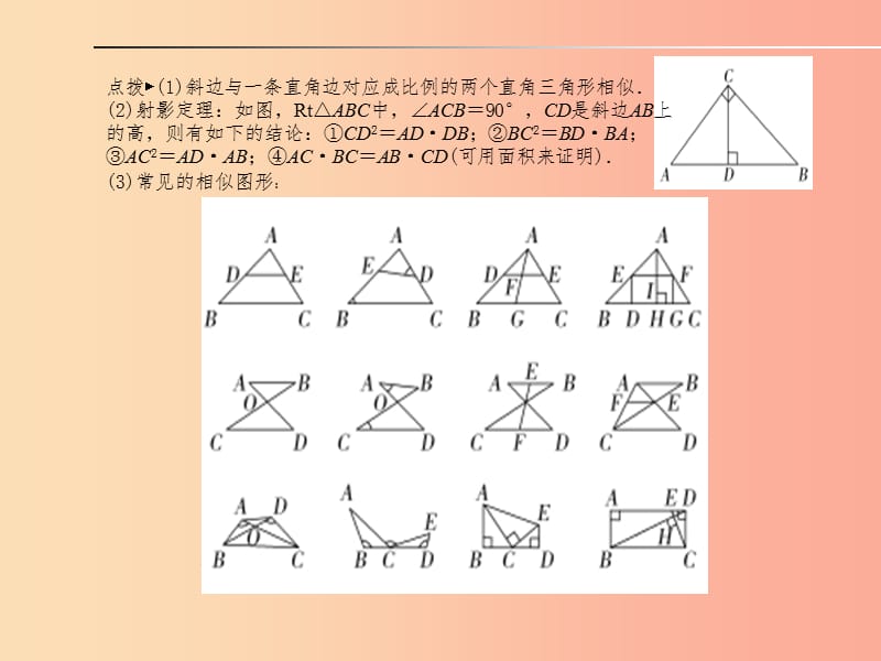 山东省2019年中考数学一轮复习第七章图形与变换第23讲图形的相似课件.ppt_第3页