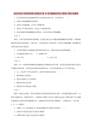 2019-2020年高考生物一輪復(fù)習(xí) 第13講 細(xì)胞的分化、衰老、凋亡與癌變.doc