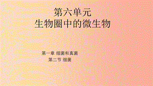 七年級生物下冊 6.1.2《細菌》課件1 魯科版五四制.ppt