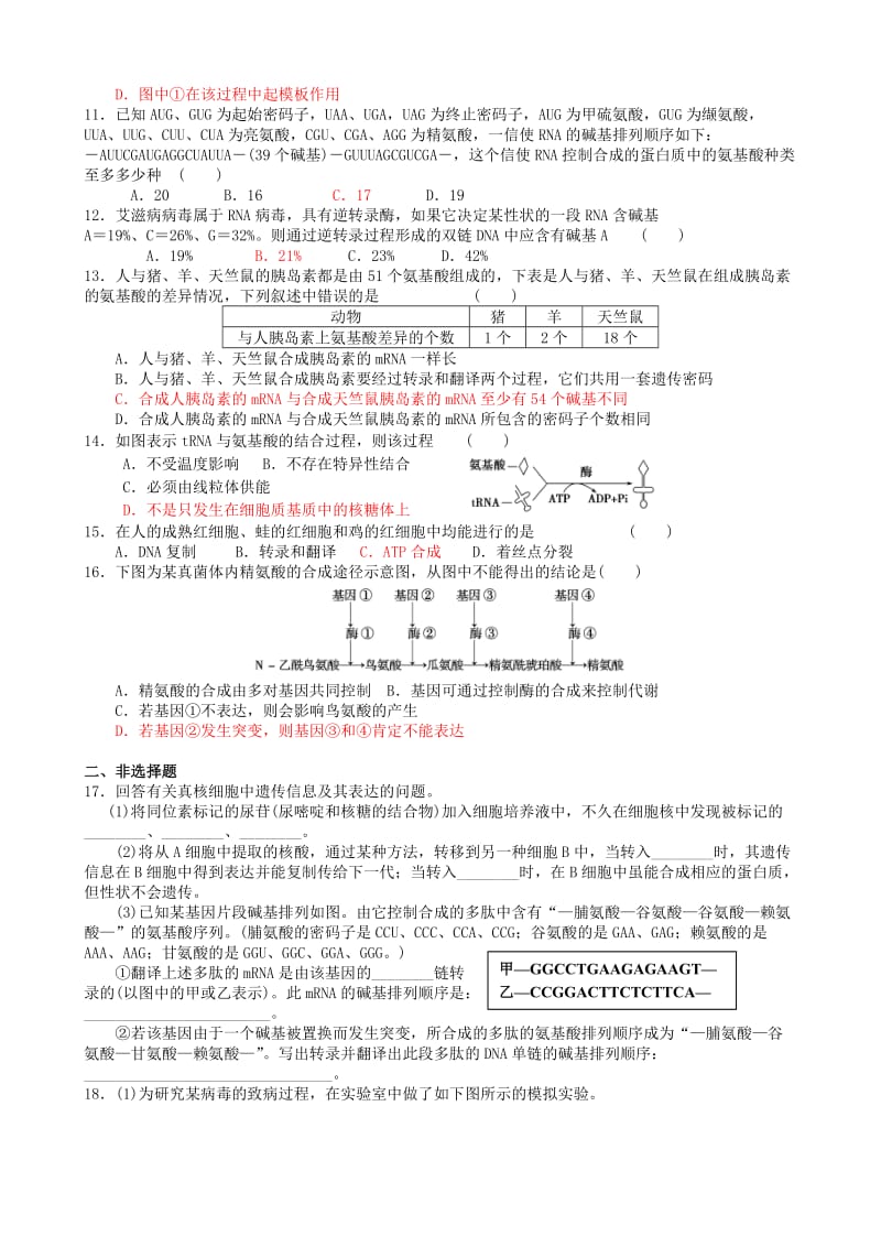 2019-2020年高考生物一轮复习《第四章 基因的表达》单元综合测试 新人教版必修2.doc_第2页