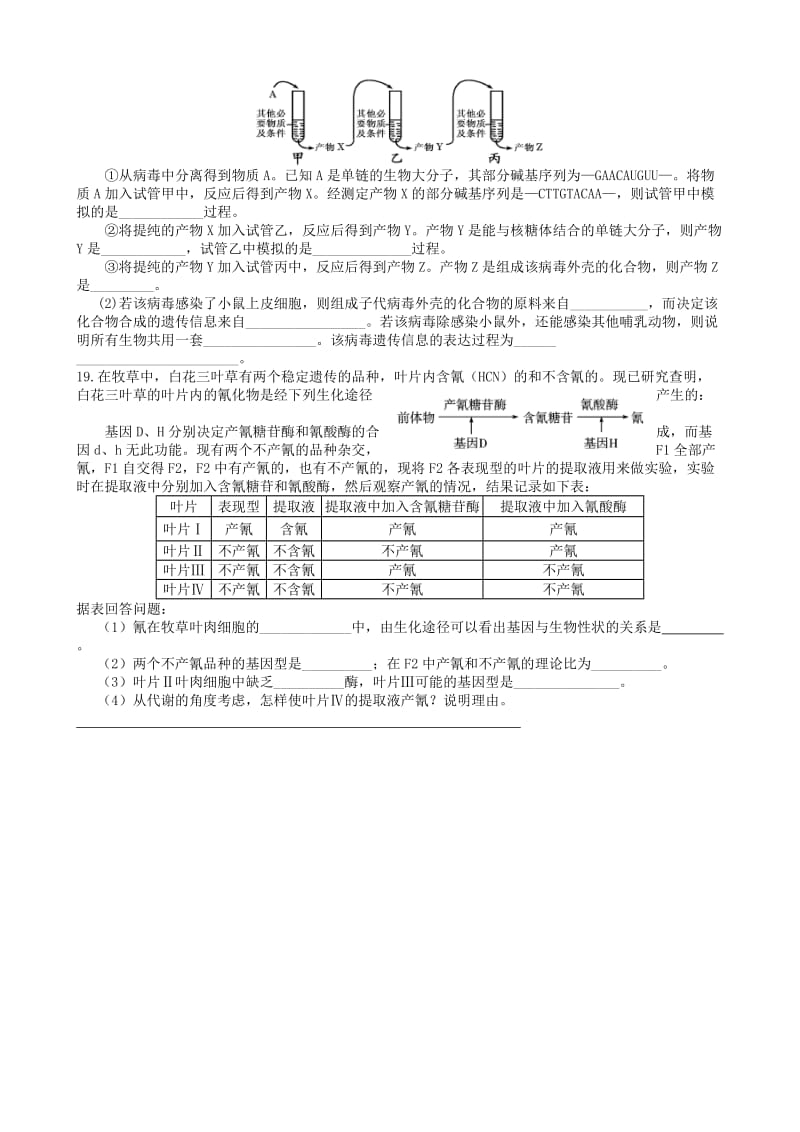 2019-2020年高考生物一轮复习《第四章 基因的表达》单元综合测试 新人教版必修2.doc_第3页