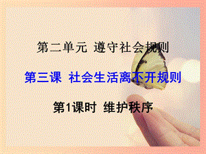 八年級(jí)道德與法治上冊(cè) 第二單元 遵守社會(huì)規(guī)則 第三課 社會(huì)生活離不開規(guī)則 第1框 維護(hù)秩序課件3 新人教版.ppt