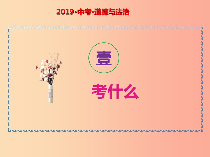 2019中考道德与法治二轮复习 考点17 特殊保护课件.ppt_第2页