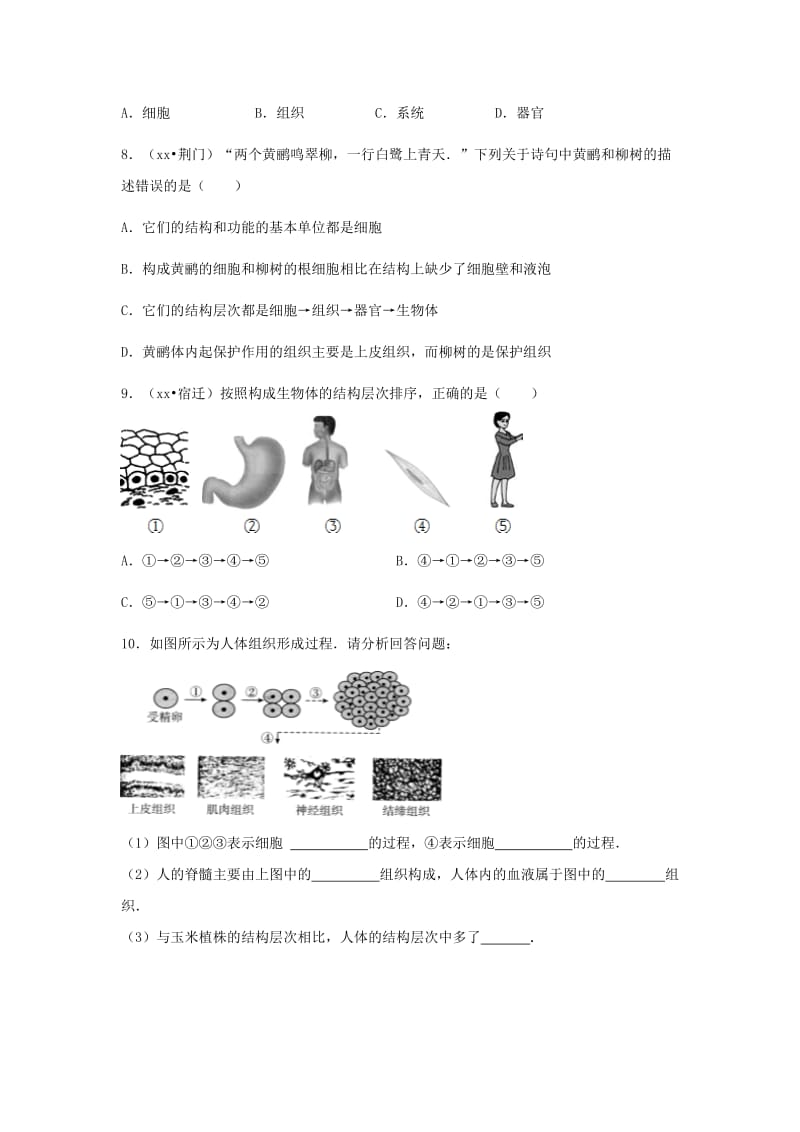 2019-2020年中考生物复习 第二单元 第三节 多细胞生物体的结构层次特色训练.doc_第2页