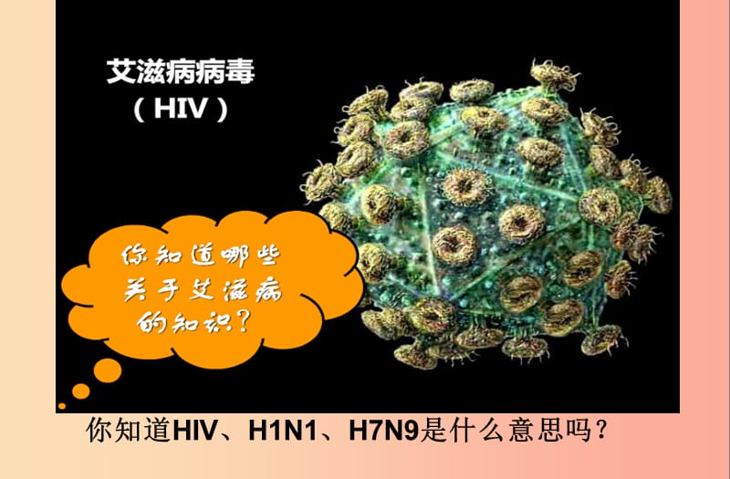 八年级生物上册 5.5《病毒》课件1 新人教版.ppt_第3页