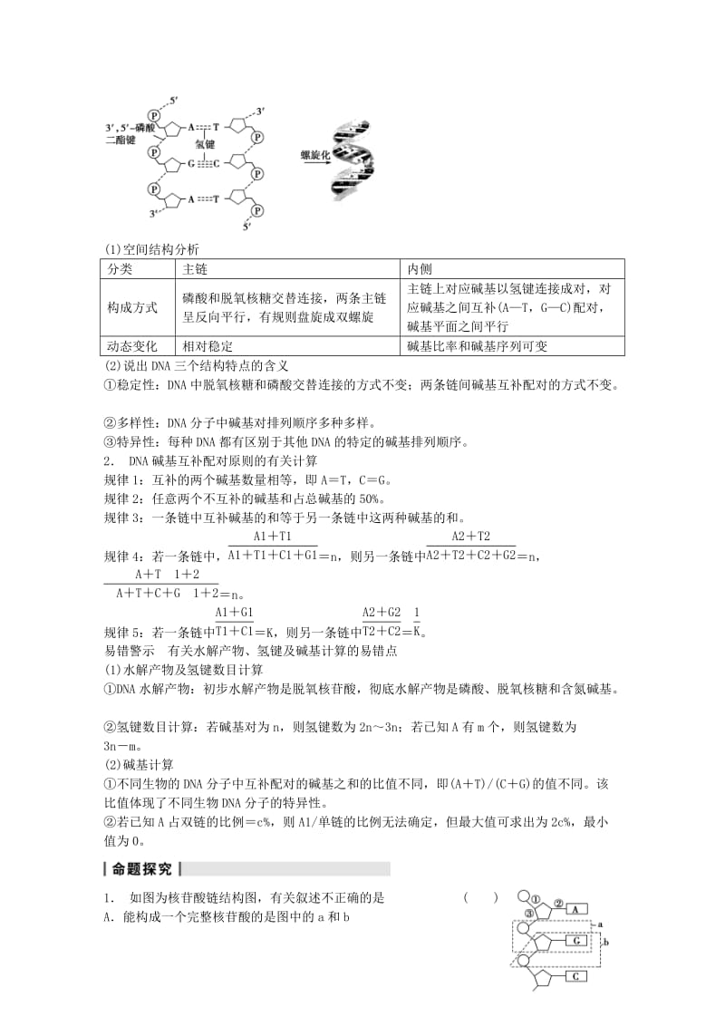 2019-2020年高考生物大一轮复习 第六单元 第19讲 DNA分子的结构、复制及基因是有遗传效应的DNA片段教案.doc_第3页