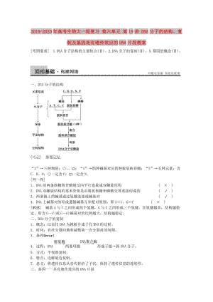 2019-2020年高考生物大一輪復(fù)習(xí) 第六單元 第19講 DNA分子的結(jié)構(gòu)、復(fù)制及基因是有遺傳效應(yīng)的DNA片段教案.doc