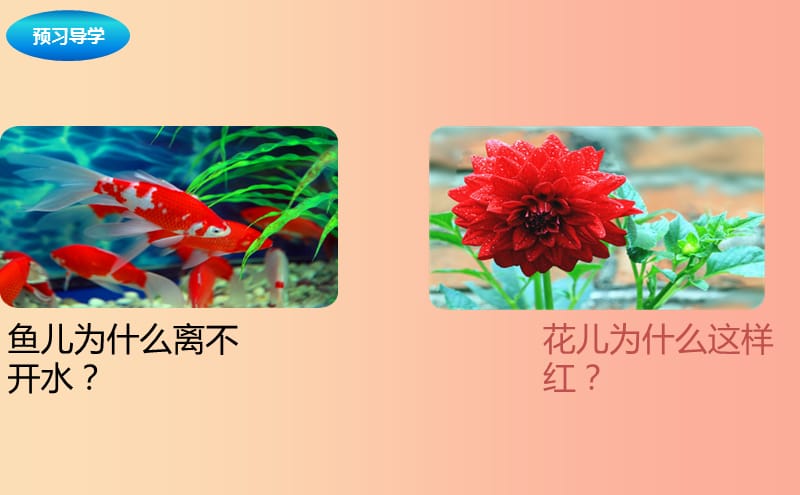 七年级生物上册1.1.2生物学的基本研究方法第3课时课件新版苏科版.ppt_第3页