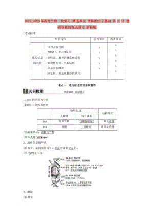 2019-2020年高考生物一輪復(fù)習(xí) 第五單元 遺傳的分子基礎(chǔ) 第20講 遺傳信息的表達(dá)講義 浙科版.doc