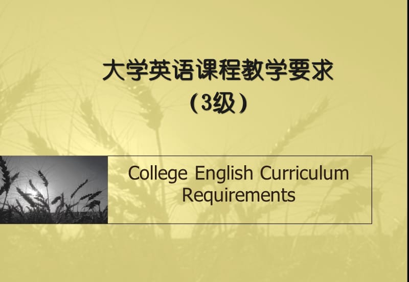 大学英语课程教学要求(3级).ppt_第1页