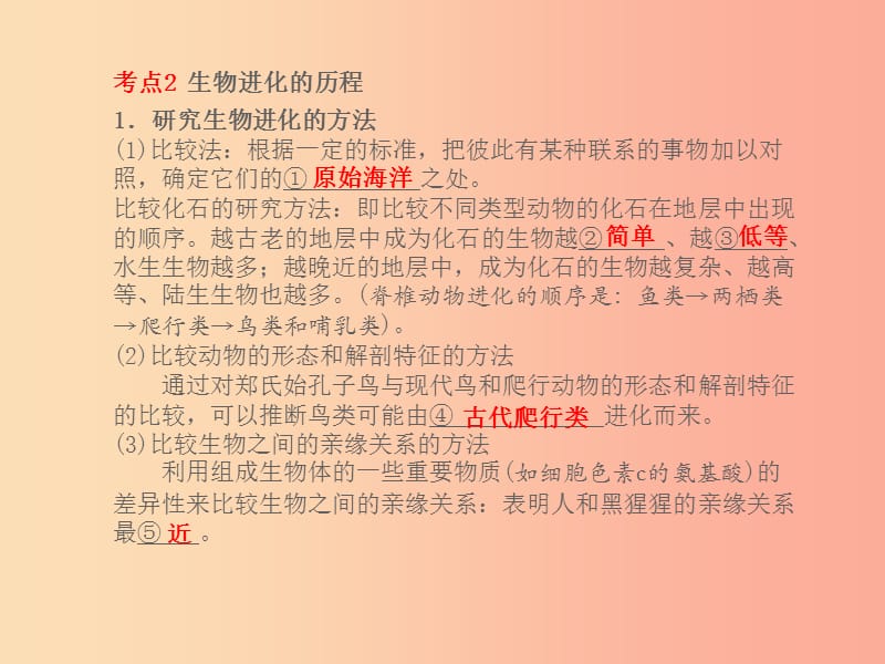 山东省2019年中考生物总复习 第七单元 生物圈中生命的延续和发展 第三章 生命起源和生物进化课件 (2).ppt_第3页