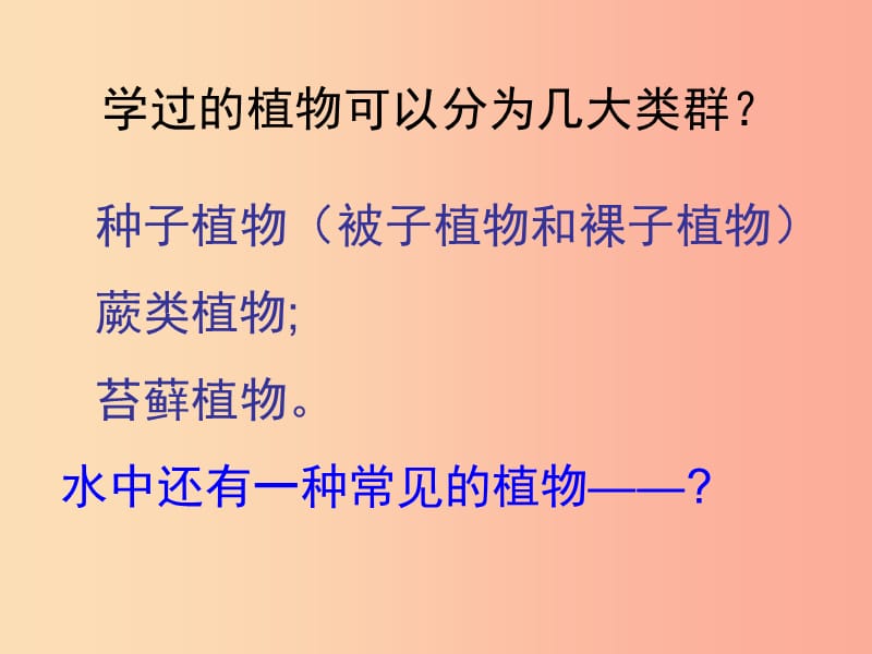 江苏省七年级生物下册 10.2水中的藻类植物课件（新版）苏科版.ppt_第2页