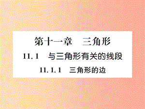 八年級數(shù)學(xué)上冊 第11章 三角形 11.1 與三角形有關(guān)的線段 11.1.1 三角形的邊習(xí)題課件 新人教版.ppt