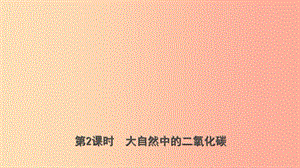 山東省2019年中考化學(xué)總復(fù)習(xí) 第六講 燃料與燃燒 第2課時(shí) 大自然中的二氧化碳課件（五四制）.ppt