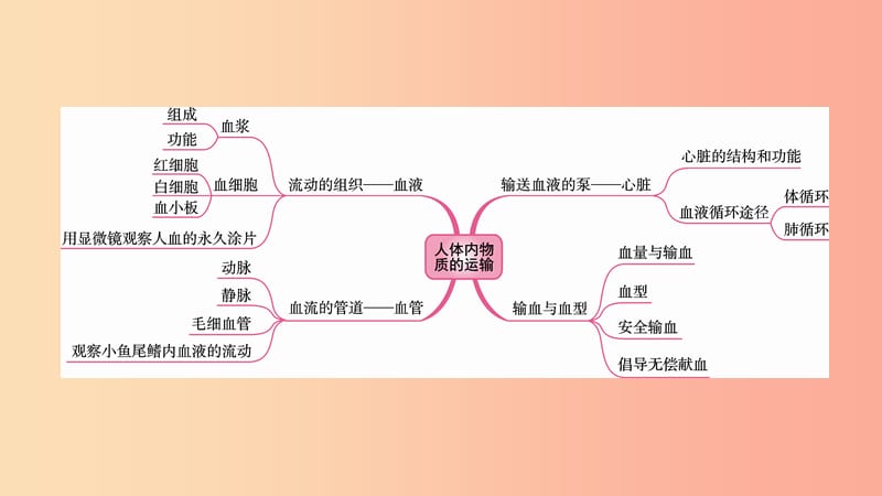 2019中考生物总复习 第一部分 基础考点巩固 第四单元 生物圈中的人 第四章 人体内物质的运输课件.ppt_第2页