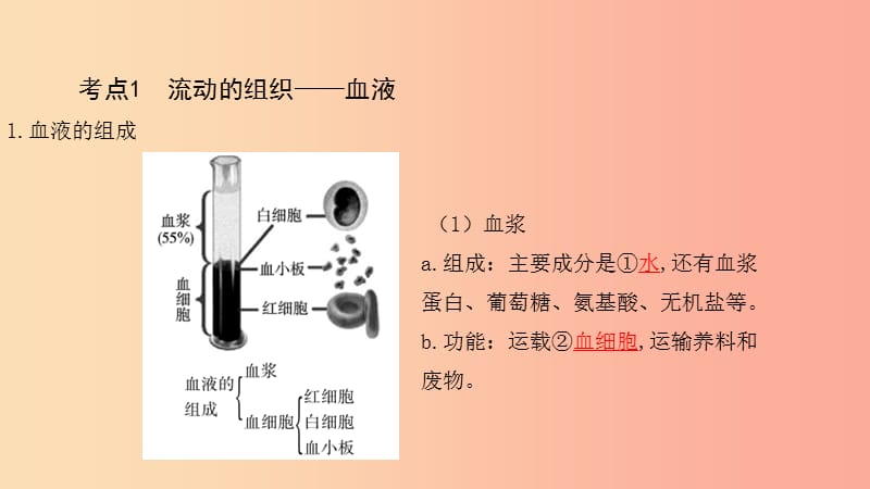 2019中考生物总复习 第一部分 基础考点巩固 第四单元 生物圈中的人 第四章 人体内物质的运输课件.ppt_第3页