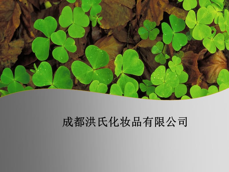 咨询师培训资料给力的PPY模板.ppt_第1页