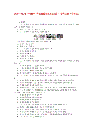 2019-2020年中考化學(xué) 考點(diǎn)跟蹤突破第22講 化學(xué)與生活（含答案）.doc