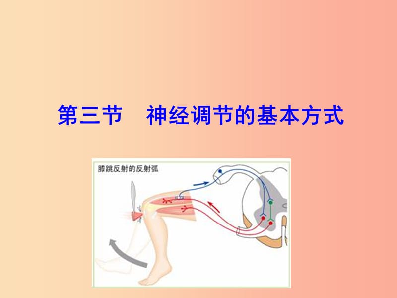 七年级生物下册 第四单元 生物圈中的人 第六章 人体生命活动的调节 第三节 神经调节的基本方式教学.ppt_第1页