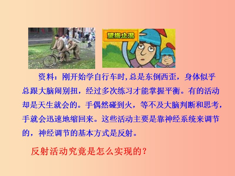 七年级生物下册 第四单元 生物圈中的人 第六章 人体生命活动的调节 第三节 神经调节的基本方式教学.ppt_第2页