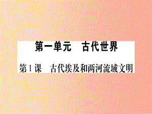 廣西2019年秋九年級歷史上冊 第1單元 古代世界 第1課 古代埃及和兩河流域文明課件 中華書局版.ppt