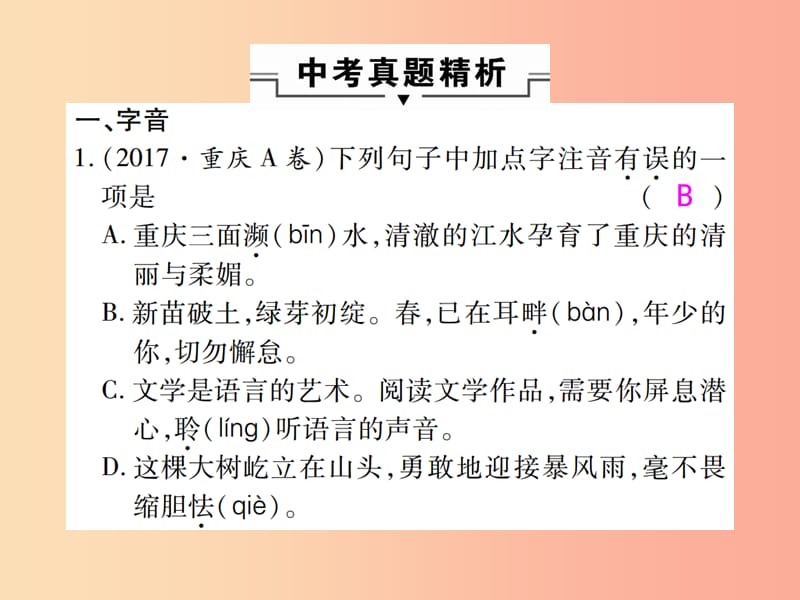 2019届中考语文复习第一部分语文知识及运用专题一字音字形课件.ppt_第2页