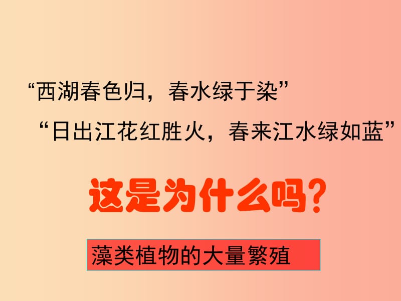 江苏省七年级生物下册10.2水中的藻类植物课件新版苏科版.ppt_第3页