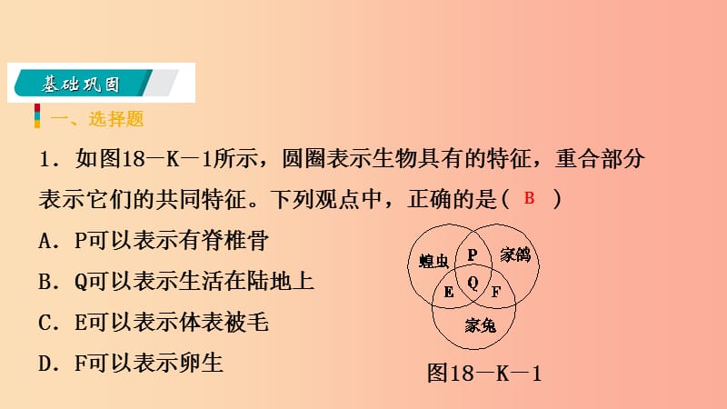 2019年秋七年级科学上册第2章观察生物2.4常见的动物第3课时利用检索法来辨认生物练习课件新版浙教版.ppt_第3页