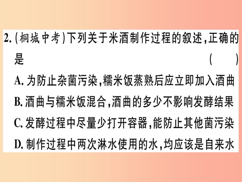 2019春八年级生物下册 专题复习十三 生物技术习题课件（新版）北师大版.ppt_第2页