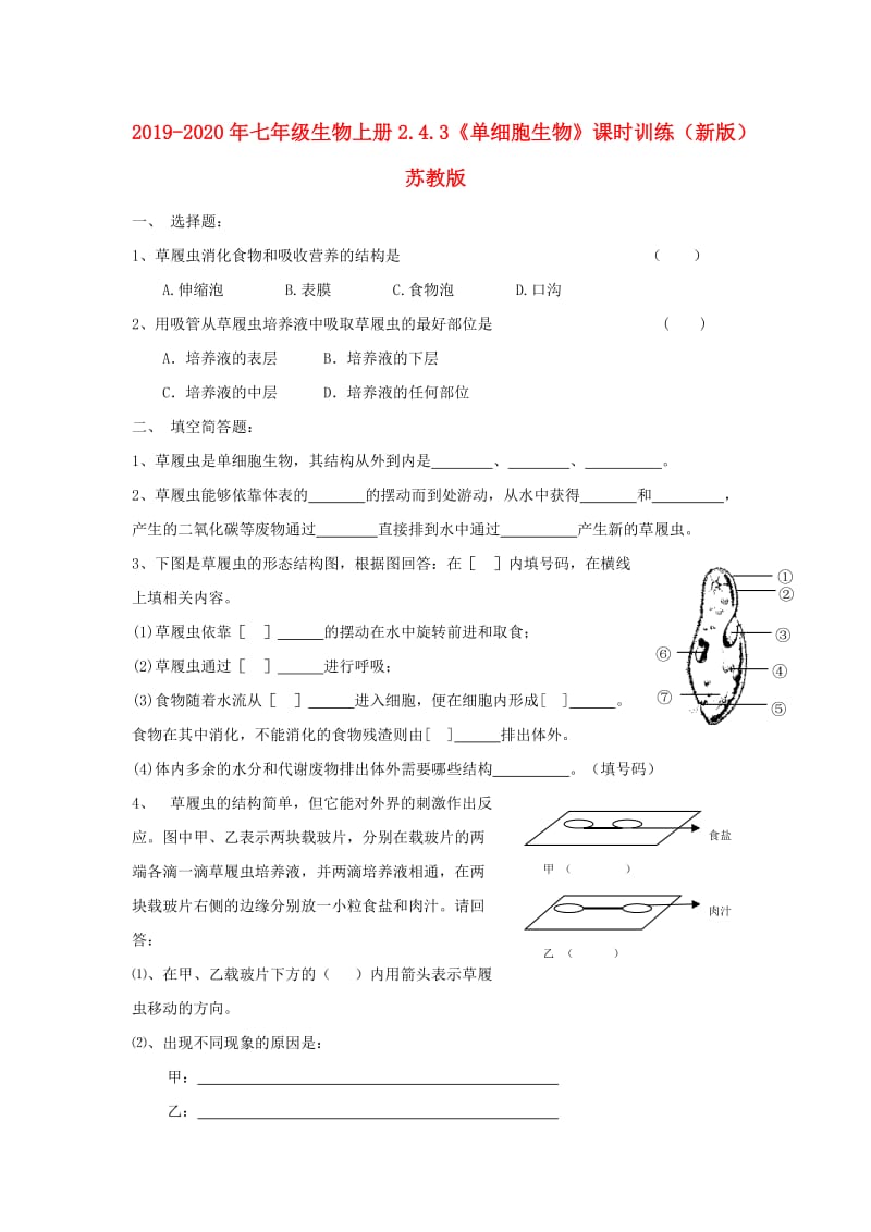 2019-2020年七年级生物上册2.4.3《单细胞生物》课时训练（新版）苏教版.doc_第1页