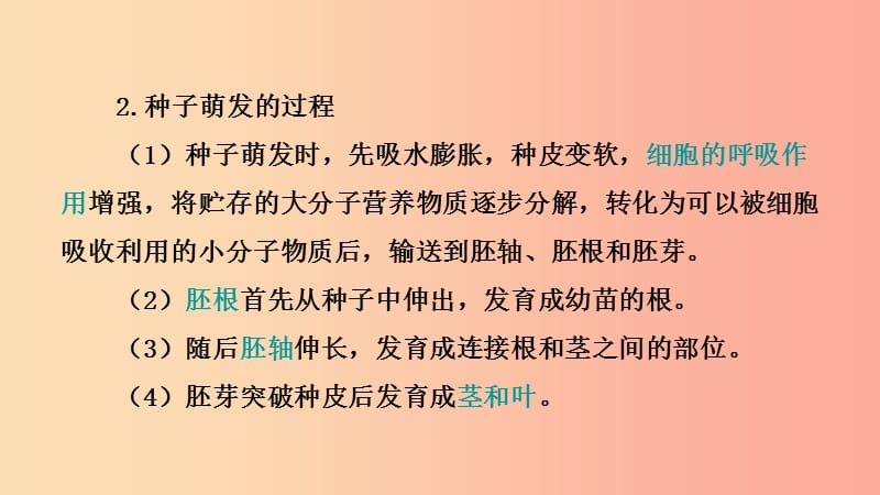 山东省2019年中考生物主题复习十三植物的生长发育过程课件济南版.ppt_第3页