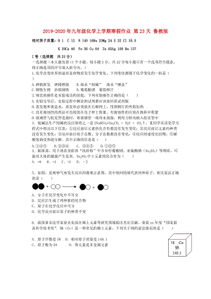 2019-2020年九年級化學上學期寒假作業(yè) 第23天 魯教版.doc