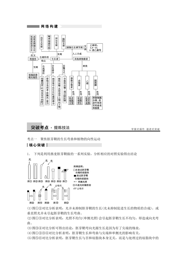 2019-2020年高考生物大一轮复习 第八单元 第30讲 植物的激素调节教案.doc_第3页