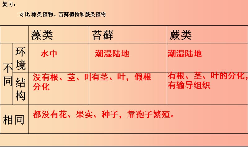 2019年七年级生物上册 3.1.2《种子植物》课件3 新人教版.ppt_第3页