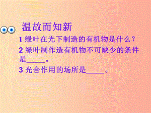 吉林省長春市七年級生物上冊 第三單元 第五章 第二節(jié) 綠色植物的呼吸作用課件4 新人教版.ppt