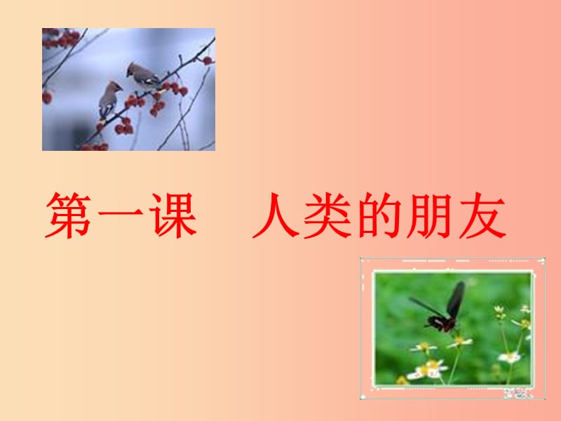 九年级道德与法治下册 第一单元 自然的声音 第一课 人类的朋友课件 教科版.ppt_第2页