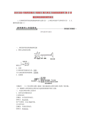 2019-2020年高考生物大一輪復(fù)習(xí) 第八單元 生命活動的調(diào)節(jié) 第27講 通過神經(jīng)系統(tǒng)的調(diào)節(jié)講義.doc