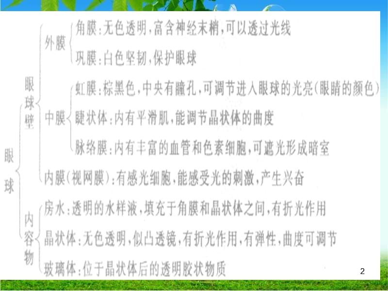 苏科版初二生物上册复习ppt课件_第2页