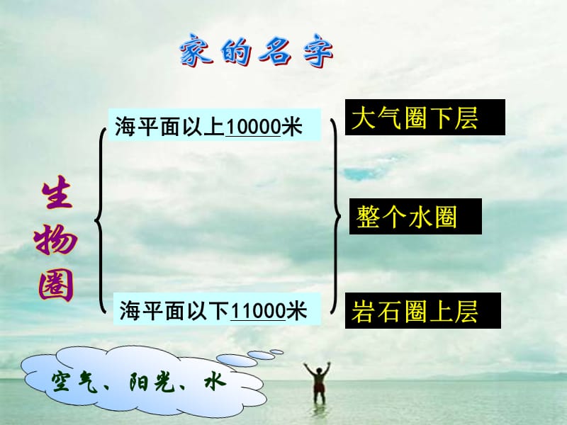 七年级生物上册 1.1.1形形色色的生物课件 新人教版.ppt_第3页