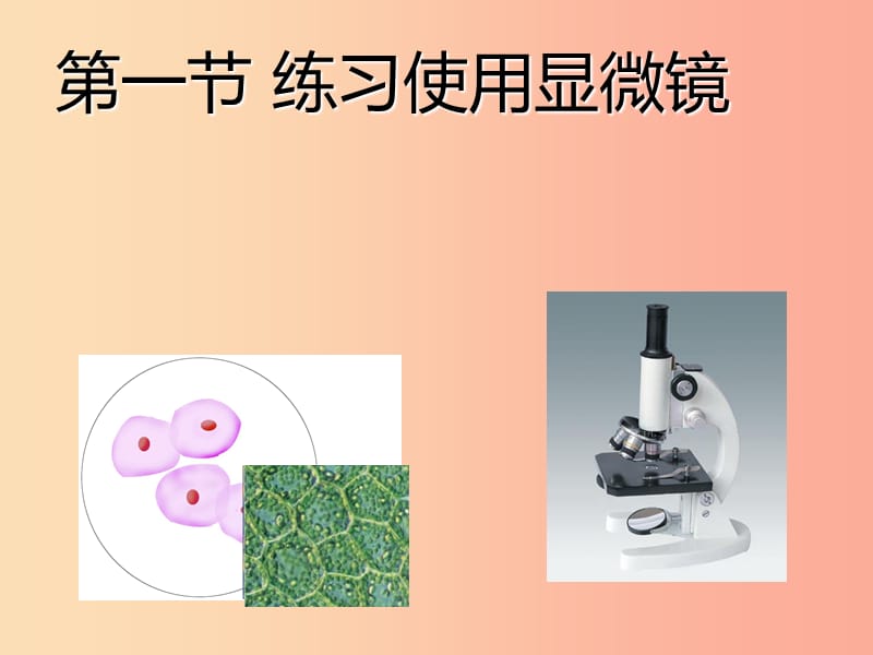 2019年七年级生物上册 2.1.1《练习使用显微镜》课件1 新人教版.ppt_第1页