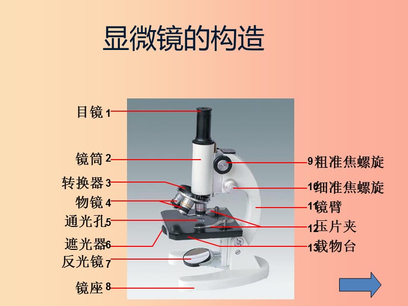 2019年七年级生物上册 2.1.1《练习使用显微镜》课件1 新人教版.ppt_第2页