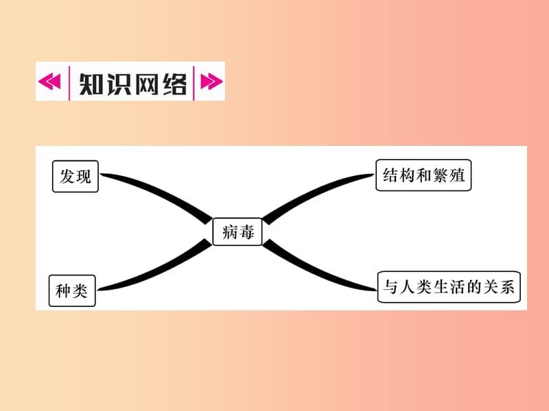 2019年八年级生物上册 第5章 病毒作业课件 新人教版.ppt_第2页