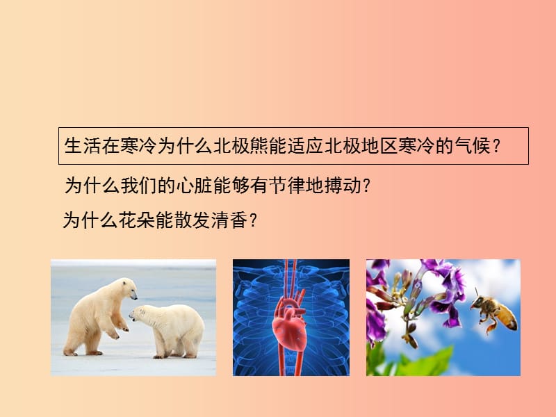 七年级生物上册 1.2.1《生物学是探索生命的科学》课件1 新人教版.ppt_第2页