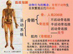 八年級生物上冊 5.2.2《先天性行為和學習行為》課件2 新人教版.ppt