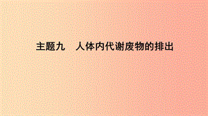 山東省2019年中考生物 主題復(fù)習(xí)九 人體內(nèi)代謝廢物的排出課件 濟(jì)南版.ppt